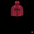 VIBESFROMNYC Graphic Hooded Zip Anorak Jet Patch Center Graphic